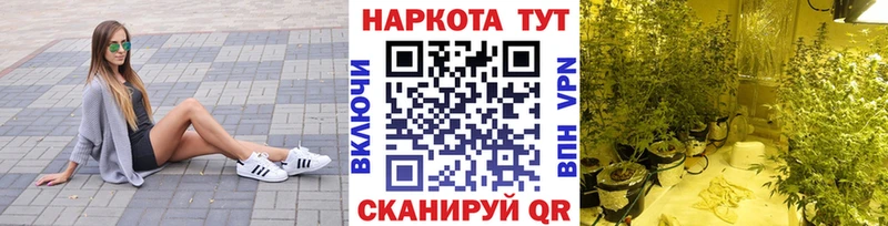 Купить наркотик аптеки Алатырь Гашиш Мефедрон