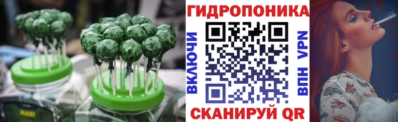 блэк спрут как войти  Алатырь  Cannafood конопля 