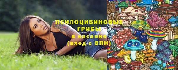 шишки Алзамай