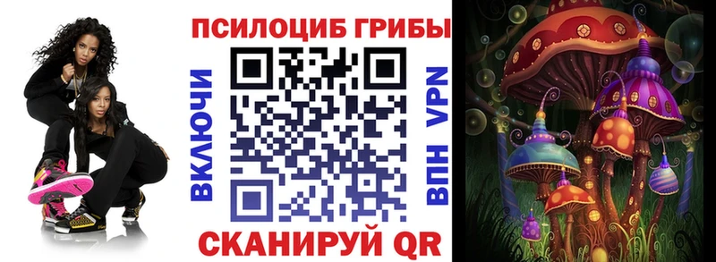 Псилоцибиновые грибы мицелий  hydra сайт  Алатырь 